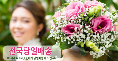 �������Ϲ��